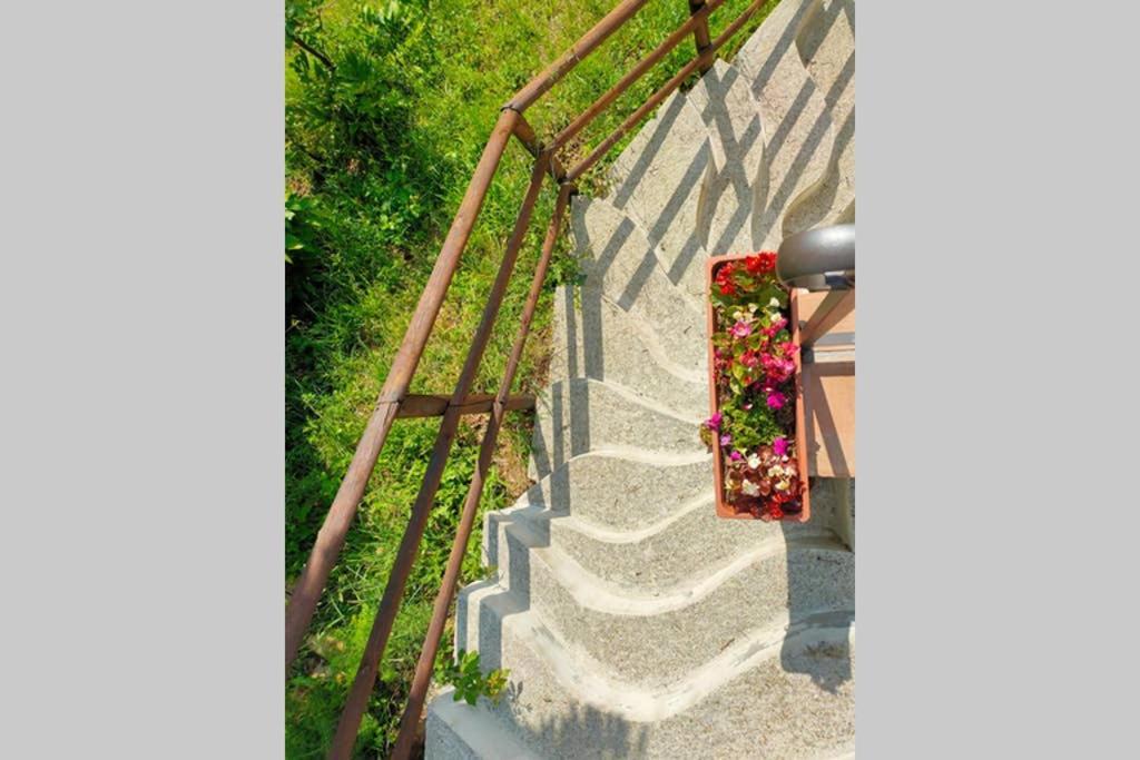 Villa Con Piscina 10 Posti Letto, L'Oliveta Di Rivalto К'янні Екстер'єр фото