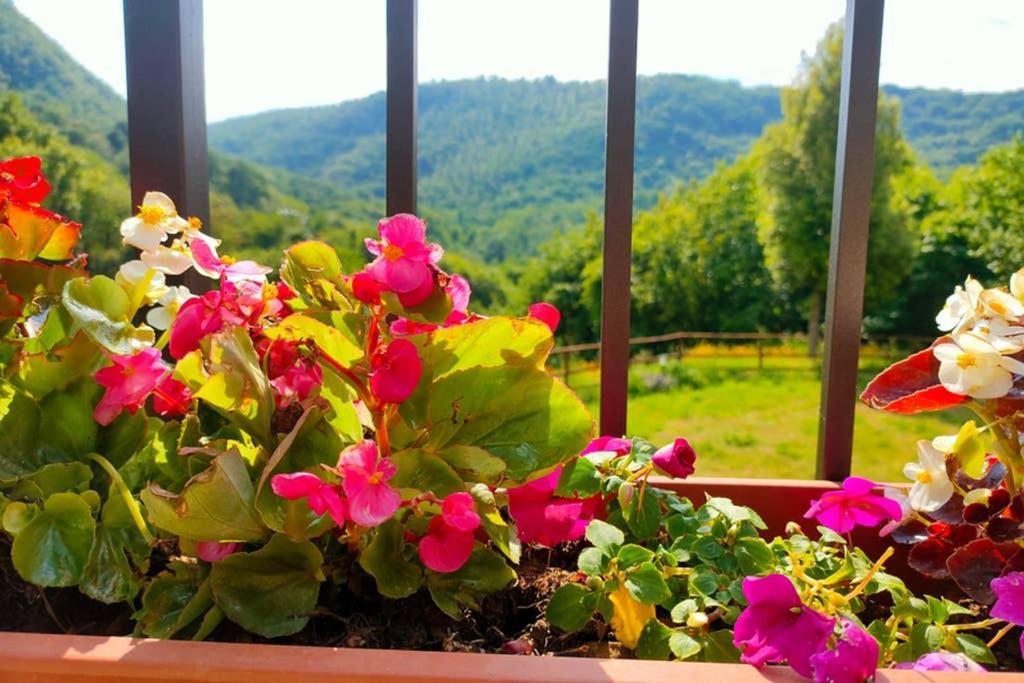Villa Con Piscina 10 Posti Letto, L'Oliveta Di Rivalto К'янні Екстер'єр фото