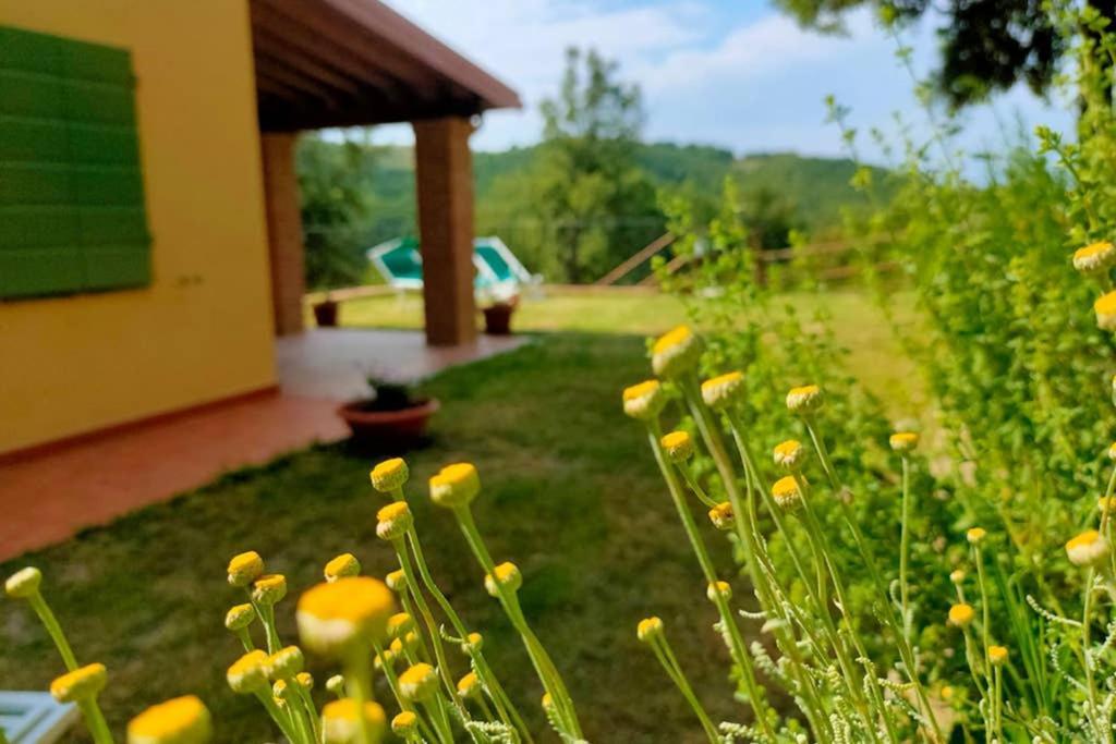 Villa Con Piscina 10 Posti Letto, L'Oliveta Di Rivalto К'янні Екстер'єр фото