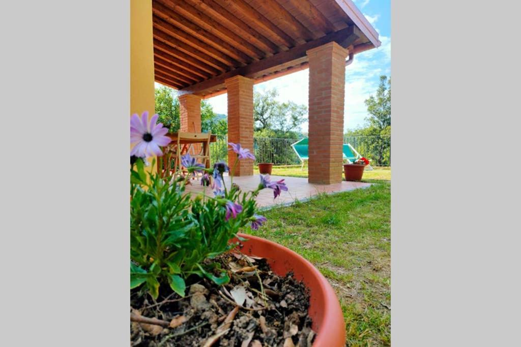 Villa Con Piscina 10 Posti Letto, L'Oliveta Di Rivalto К'янні Екстер'єр фото