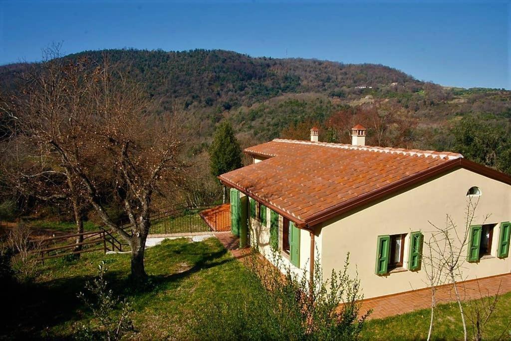 Villa Con Piscina 10 Posti Letto, L'Oliveta Di Rivalto К'янні Екстер'єр фото