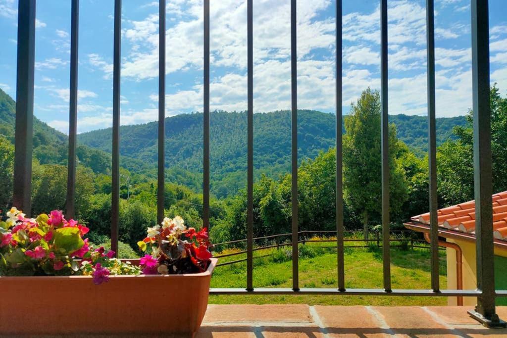 Villa Con Piscina 10 Posti Letto, L'Oliveta Di Rivalto К'янні Екстер'єр фото