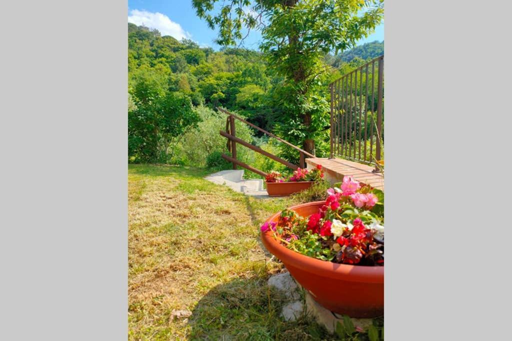 Villa Con Piscina 10 Posti Letto, L'Oliveta Di Rivalto К'янні Екстер'єр фото